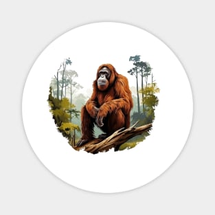 Orangutans Magnet